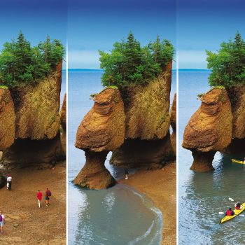 Kayaking beside Hopewell Rocks