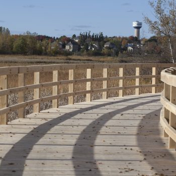 Wooden bridge