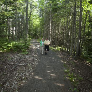 People walking through a forest trail