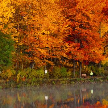 Centennial Park in the fall