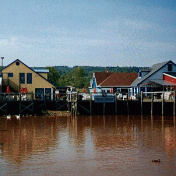 Magnetic Hill Village