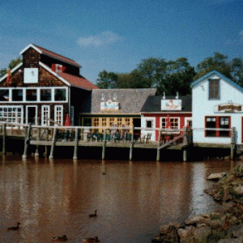 Magnetic Hill Village