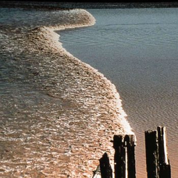 ocean waves at greater moncton tidal bore