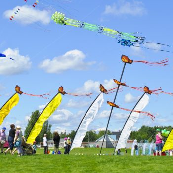 Dieppe internation kite festival